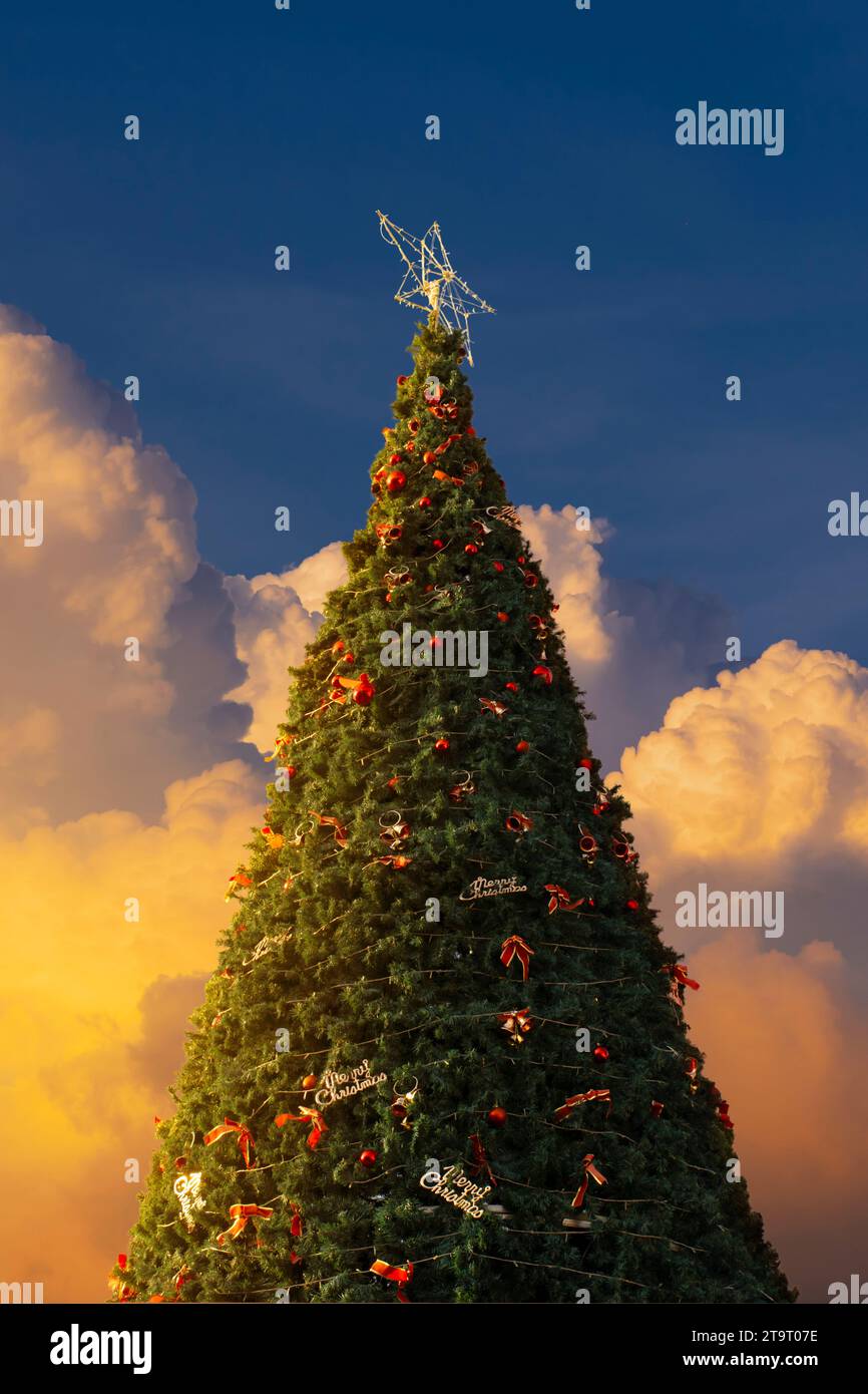 Dekorieren Sie den Weihnachtsbaum für die Feier und den goldenen Himmel. Stockfoto