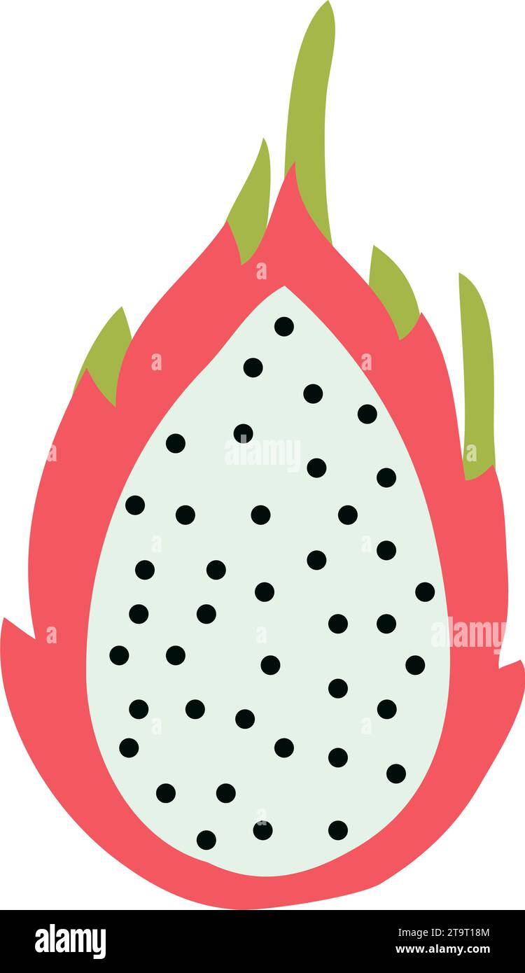 drachenfrucht Illustration Stock Vektor
