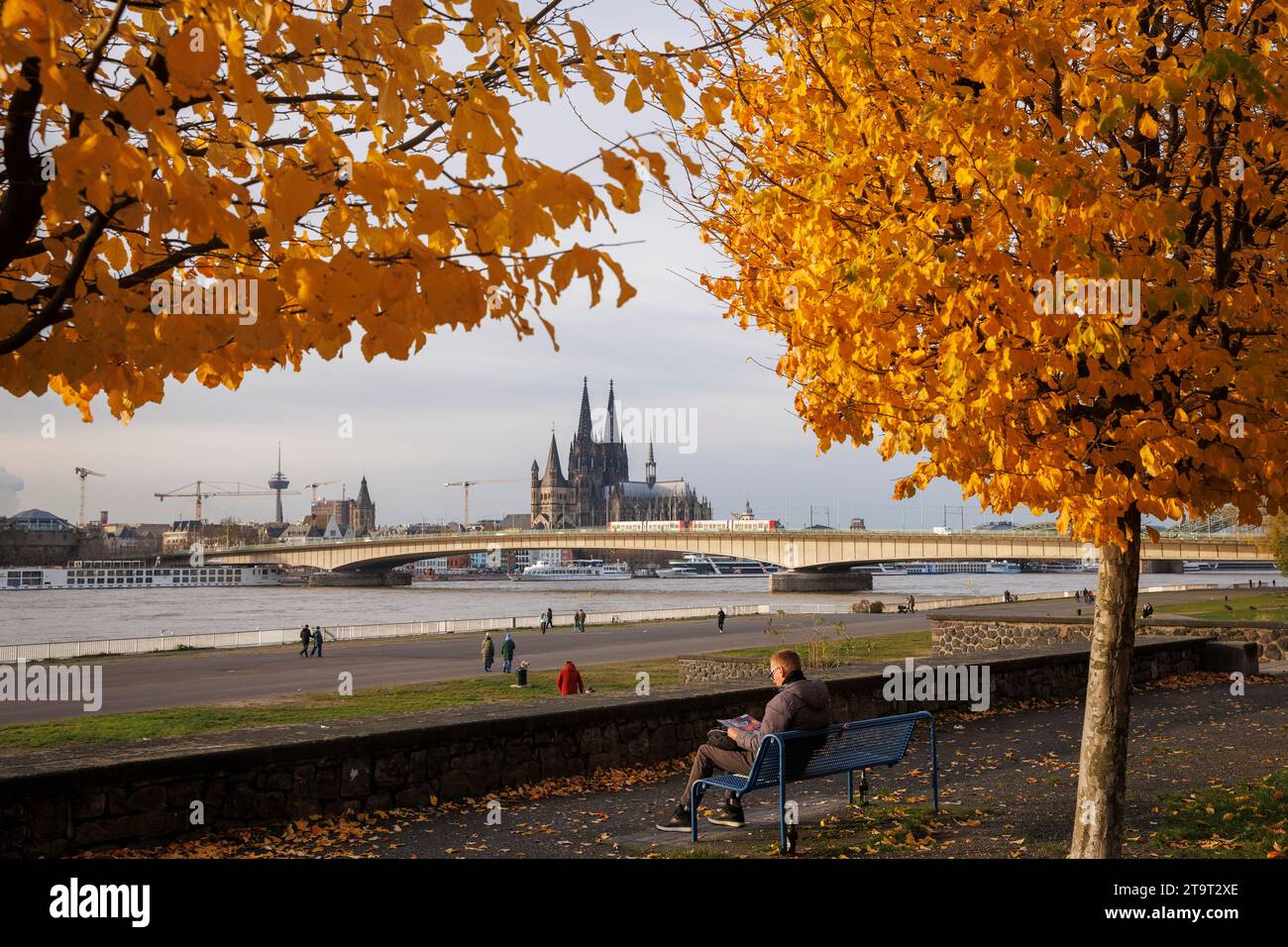 Mann sitzt auf einer Bank unter herbstbunten Bäumen am Ufer des Rheins im Stadtteil Deutz, Blick auf den Dom, Köln, Deutschland. Mann Stockfoto