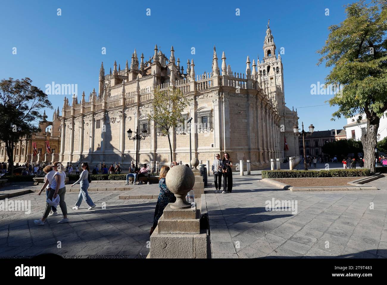 Kathedrale von Sevilla und Glockenturm Giralda, Sevilla, Andalusien, Spanien. Europa. Stockfoto