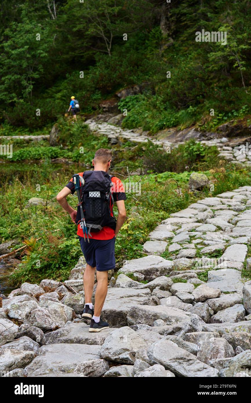 Rückansicht des Mannes, der mit Rucksack in den Bergen wandert. Männlicher Reisender, der im Wald spaziert. Reisen im Nationalpark. Aktive Erholung Stockfoto