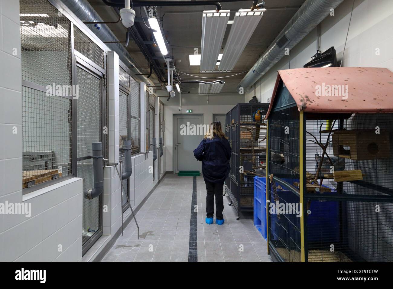 © PHOTOPQR/LE PARISIEN/Emma Oliveras ; Chartres ; 06/11/2023 ; La Quarantaine, Passage obligatoire pour chaque Animal arrivant au Refuge. Chartres, 6. November 2023. Le Refuge Zoo La Tanière. Nombre d'animaux issus du trafic saisis en à-de-France sont confiés Île ce Refuge animalier en partie ouvert au public. CES félins, tortues, perroquets cohabitent avec des rescapés de laboratoire et des retraités du cirque. Chartres, Frankreich, 6. november 2023. La Tanière Zoo Shelter. Viele in Île-de-France beschlagnahmte Tiere werden diesem Tierheim anvertraut, das zum Teil der Publ zugänglich ist Stockfoto