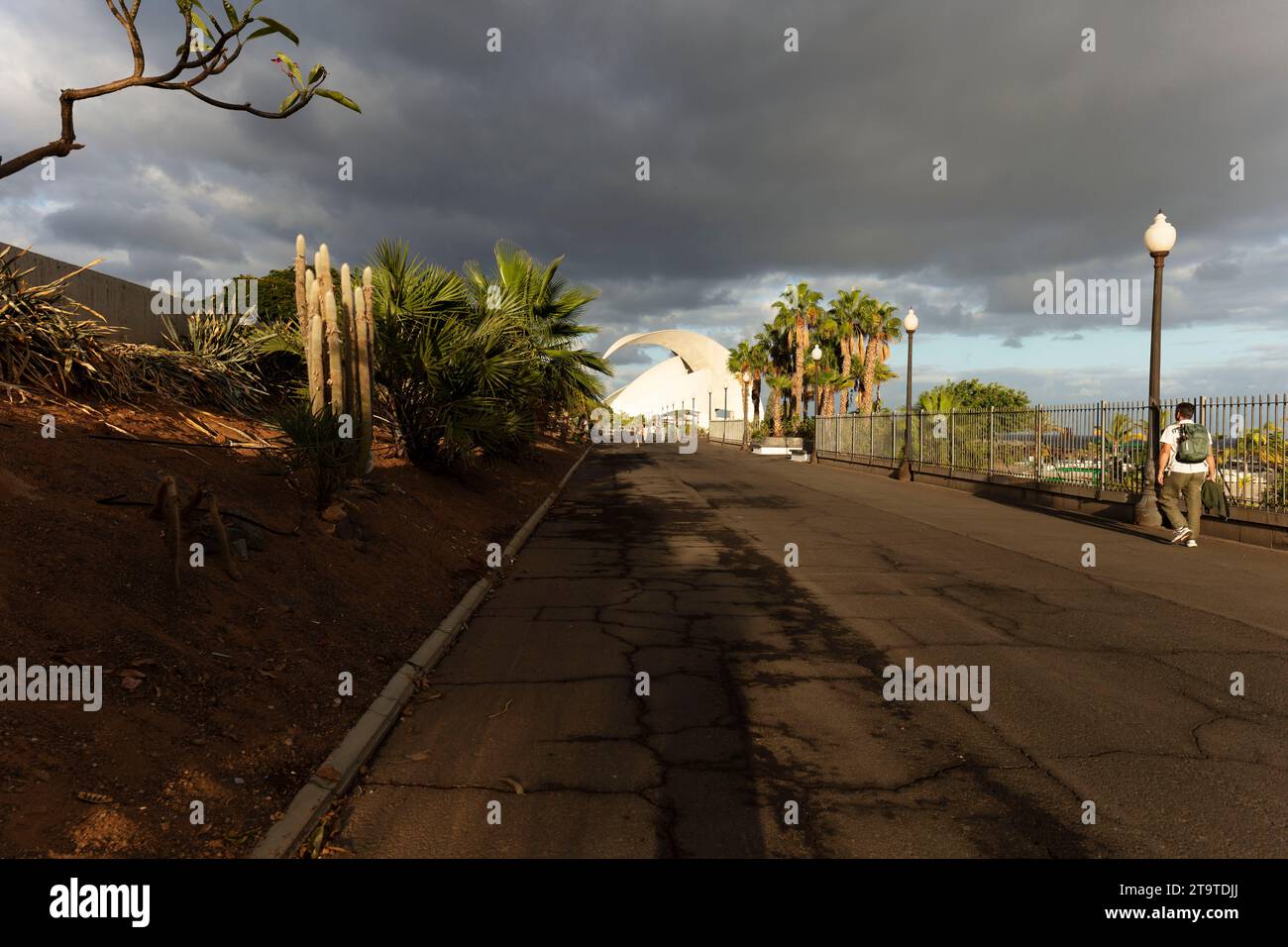 Das architektonisch beeindruckende Auditorio de Teneriffa, Auditorium, Santa Cruz de Teneriffa, Kanarische Inseln, Spanien in seiner weiten Landschaft im guten Licht Stockfoto