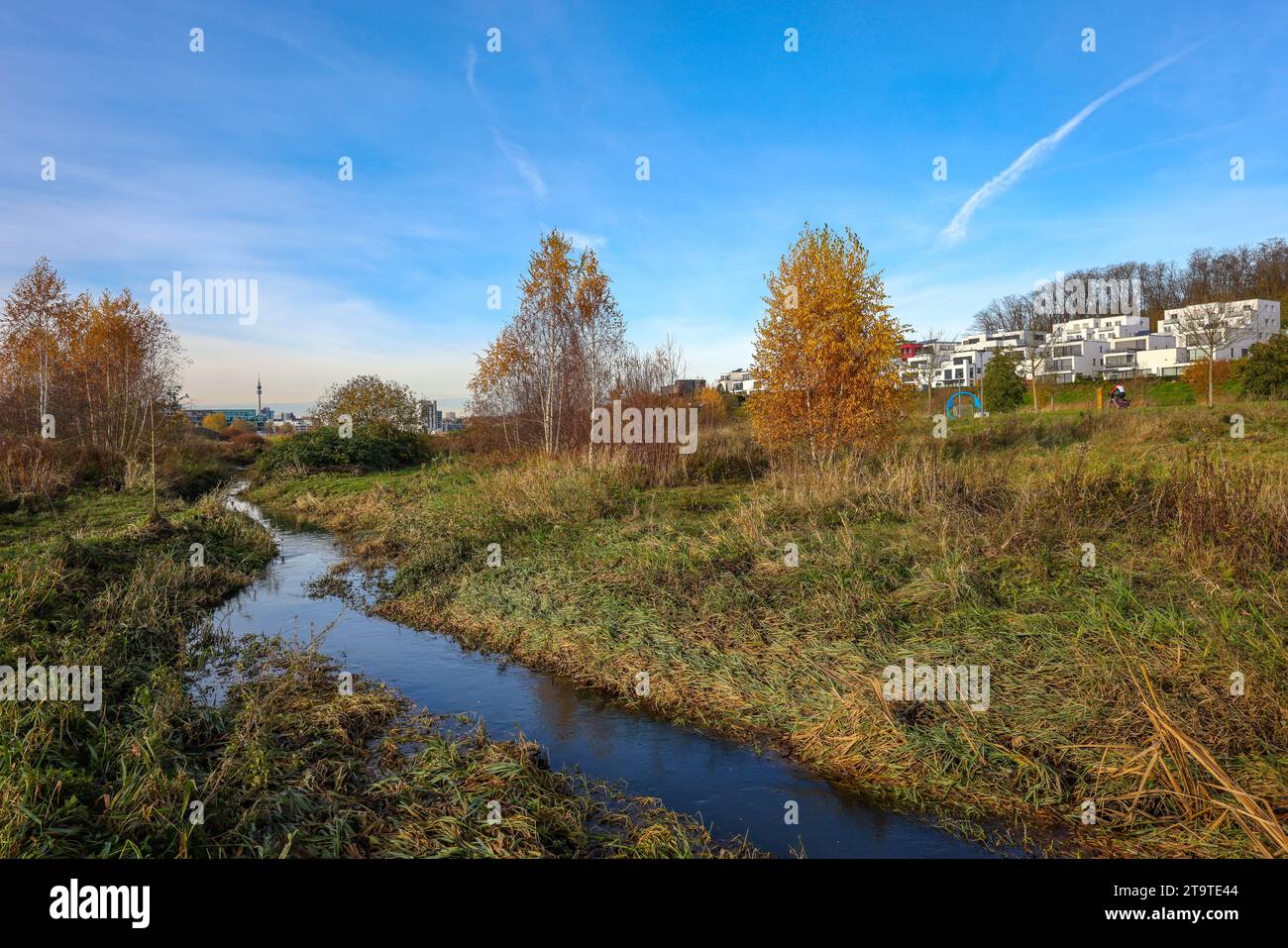 Dortmund, Nordrhein-Westfalen, Deutschland - Phönixsee, vor dem renaturierten Emscher. Der Fluss wurde in ein naturnahes Wasser verwandelt Stockfoto