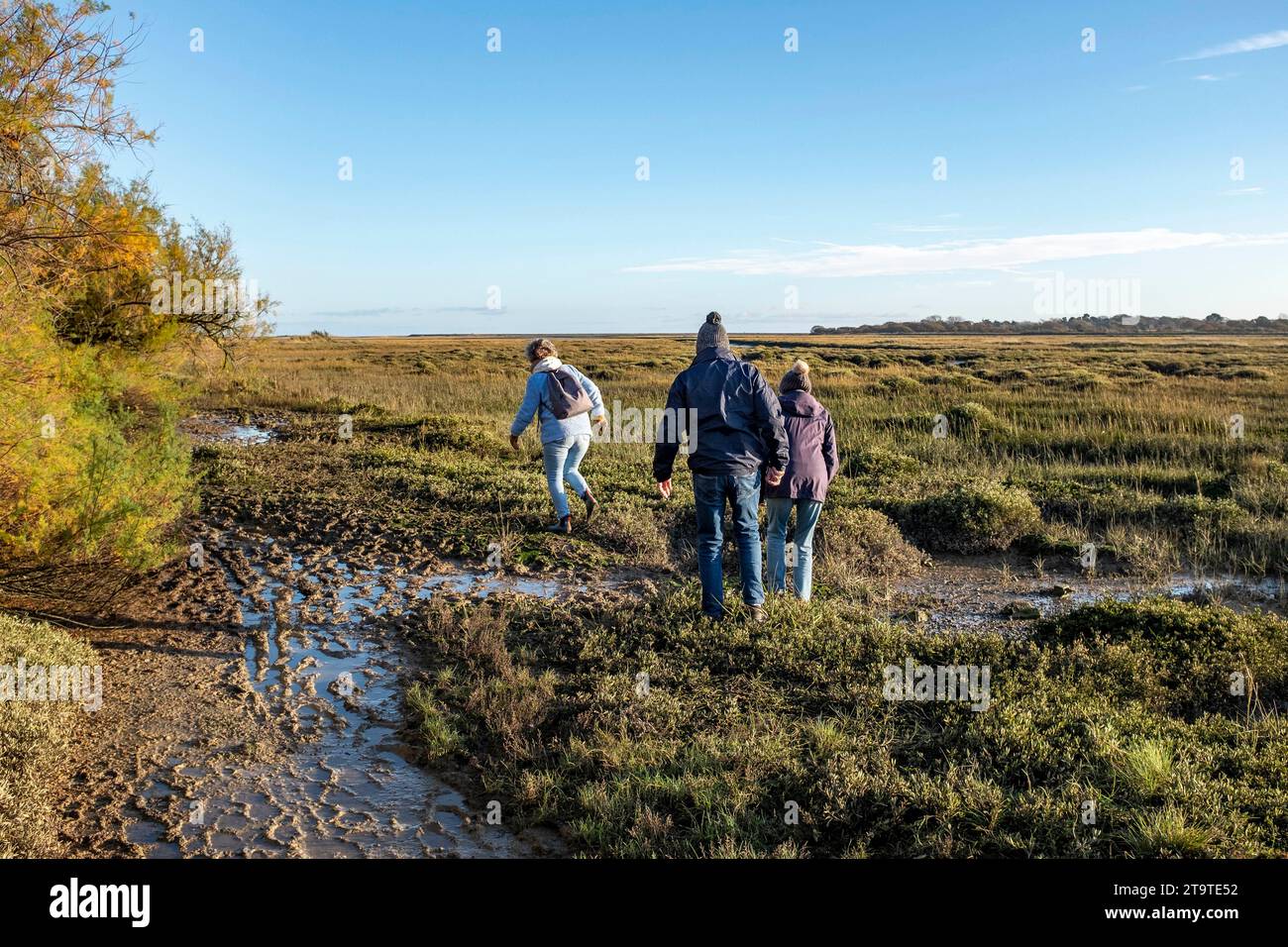 Spaziergänger auf einem schlammigen Spaziergang durch das Naturschutzgebiet Pagham Harbour RSPB bei Ebbe an einem Herbstnachmittag, West Sussex, England Großbritannien Stockfoto