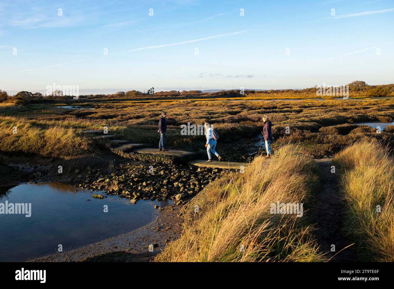 Spaziergänger auf einem schlammigen Spaziergang durch das Naturschutzgebiet Pagham Harbour RSPB bei Ebbe an einem Herbstnachmittag, West Sussex, England Großbritannien Stockfoto