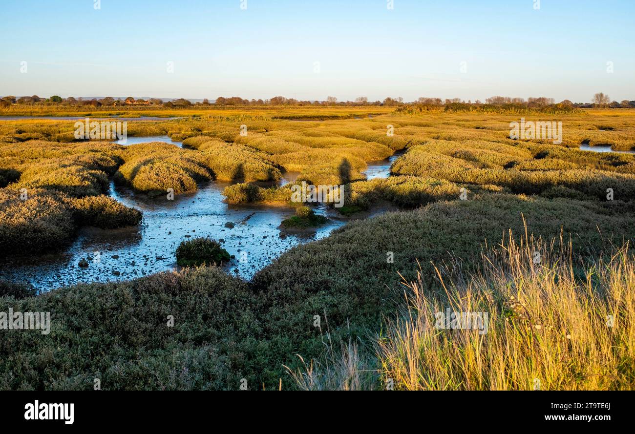 Pagham Harbour RSPB Naturschutzgebiet bei Ebbe an einem Herbstnachmittag, West Sussex, England Großbritannien Stockfoto