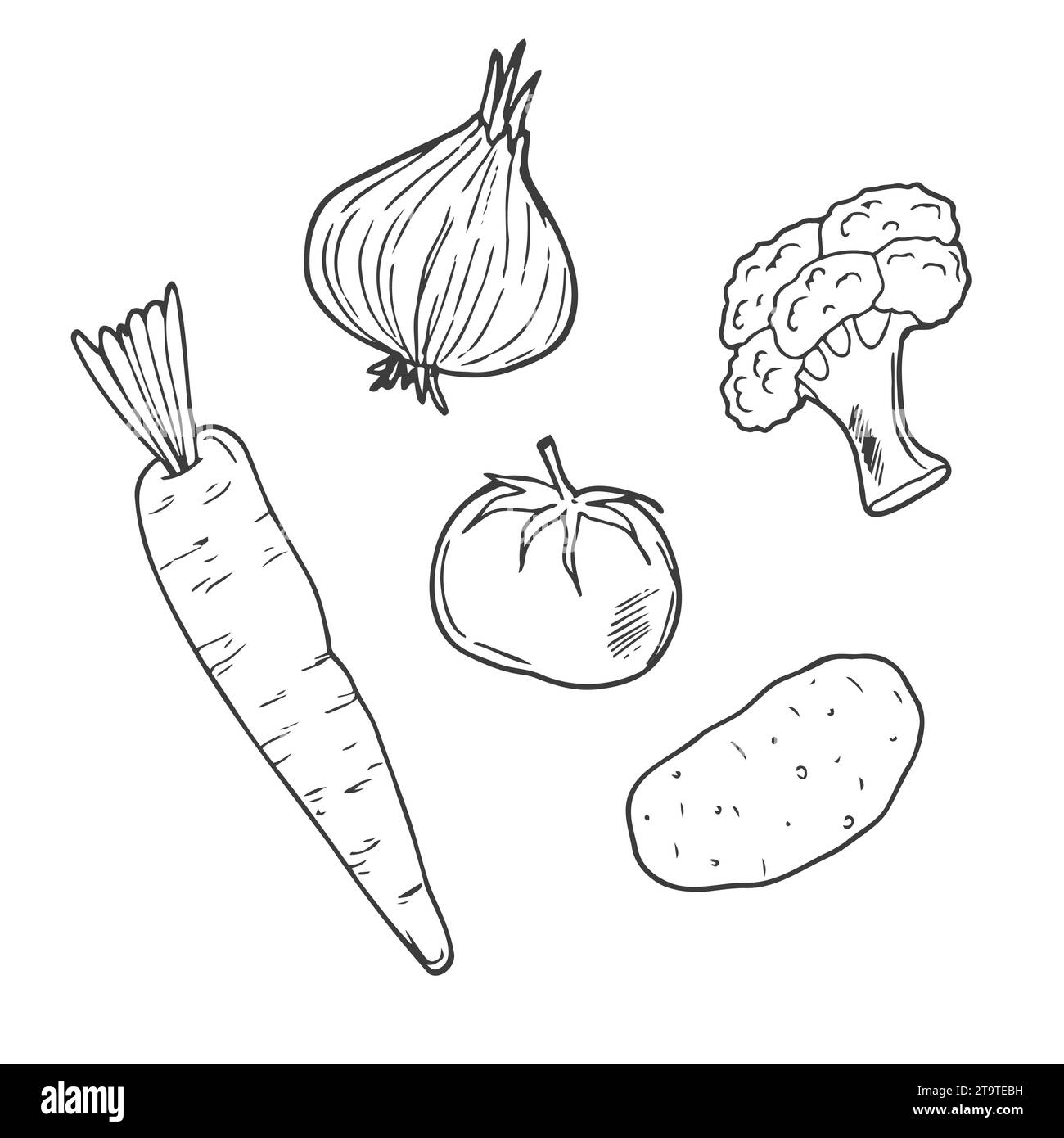 Vektor-Set mit Kritzelzeichnungen von Gemüse: Karotten, Mais, Tomaten, Pilze, Gurke, Kohl, Kartoffeln, Kürbis, Paprika, Brokkoli Erbsenzwiebeln Stock Vektor