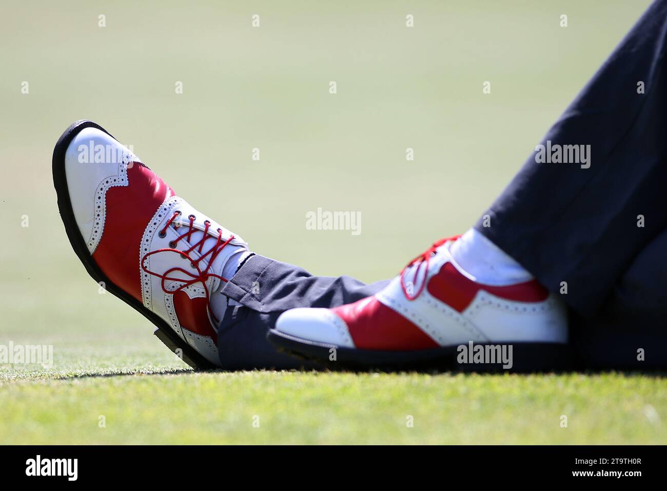 Rote Golfschuhe auf dem Golfplatz Stockfoto