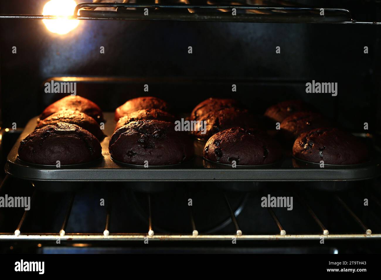 Ausgewählte Schokoladenmuffins, die in einem modernen Ofen gebacken werden. Stockfoto