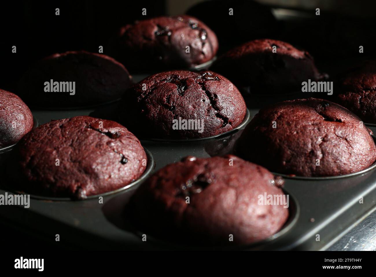 Ausgewählter Fokus von Schokoladenmuffins in einem Backblech Stockfoto
