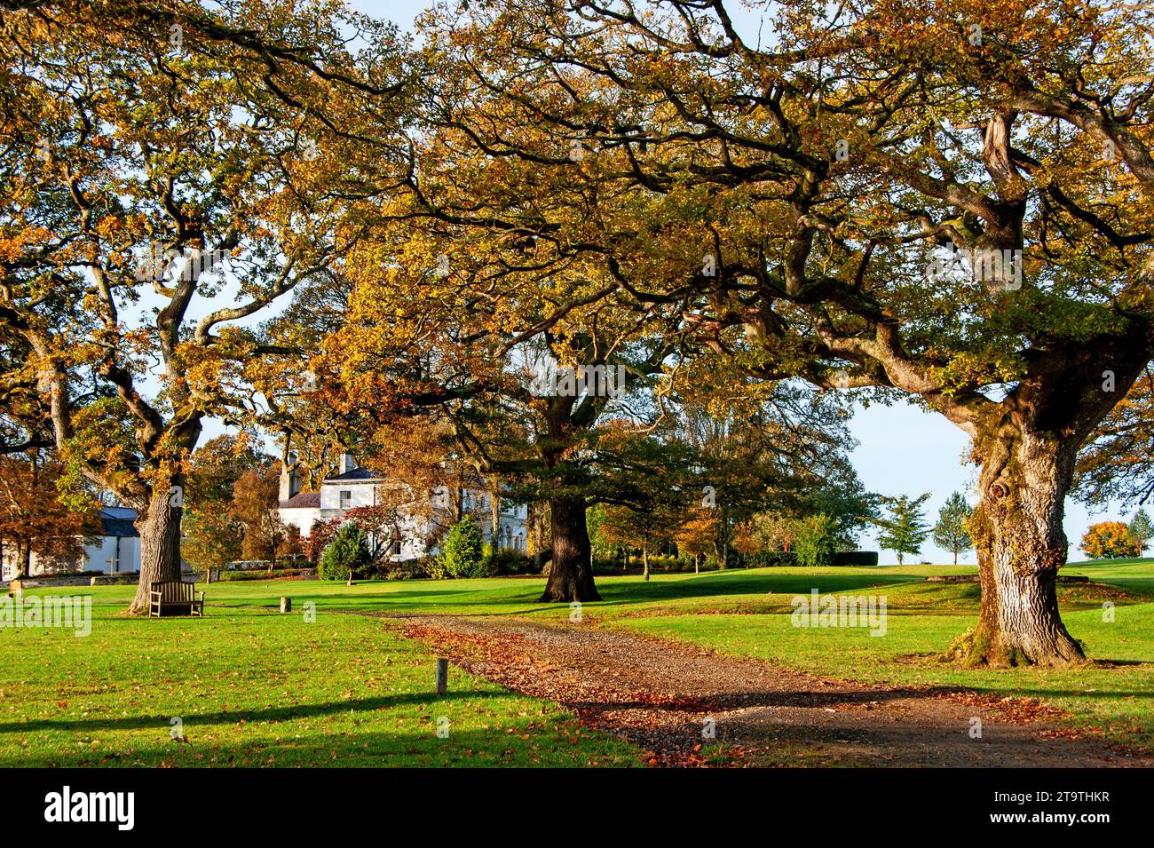 Sonniger Tag im Oak Park in der Herbstsaison, Irland Stockfoto