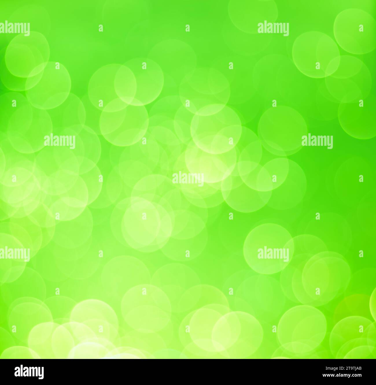 Grüner Bokeh-Hintergrund, natürlicher Fantasy-Stil Stockfoto