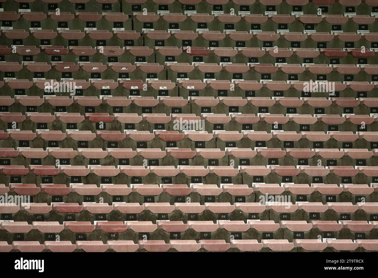 Reihen mit leeren Sitzen. Aufgrund der weltweiten COVID-19-Pandemie werden Live-Sportereignisse hinter verschlossenen Türen ohne Zuschauer gespielt. Stockfoto