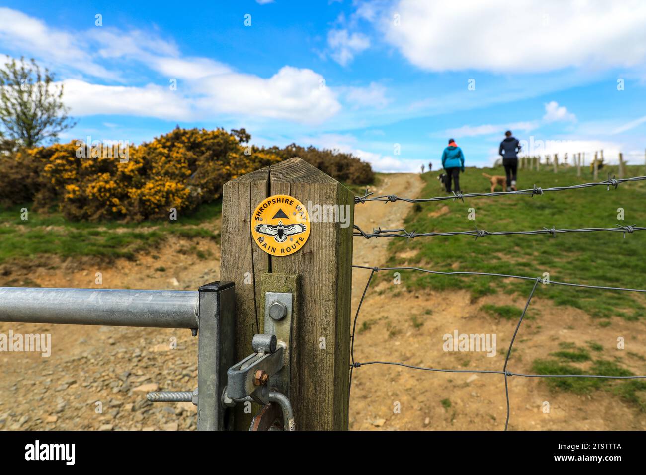 Ein Schild oder Wegweiser und Menschen, die in Stiperstones Hills, Shropshire, England, Großbritannien, spazieren gehen Stockfoto