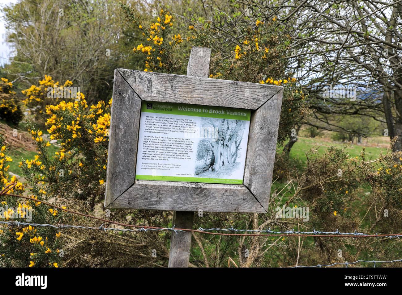 Ein Schild oder eine Informationstafel in Stiperstones Hills, Shropshire, England, Großbritannien Stockfoto