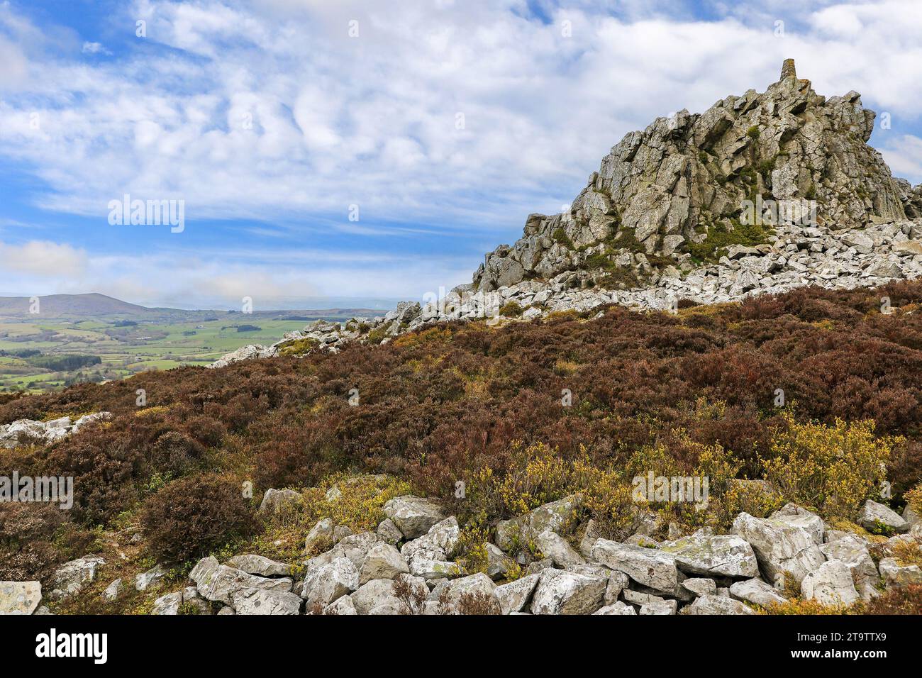 Manstone Rock in Stiperstones Hills, Shropshire, England, Großbritannien Stockfoto