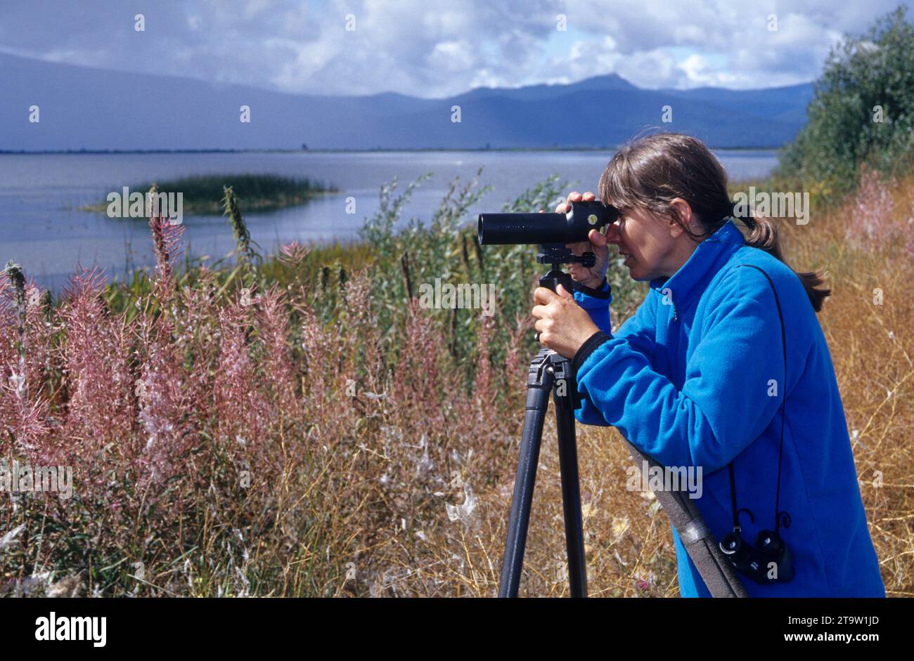 Birding, Wood River Wetland, Klamath Falls District Büro des Land-Managements, Oregon Stockfoto