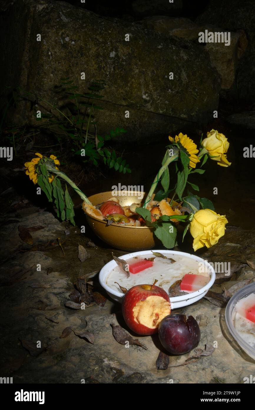 Korb mit Blumen, der von afro-brasilianischen Religionen verwendet wird. Am Ufer eines Flusses. Stockfoto