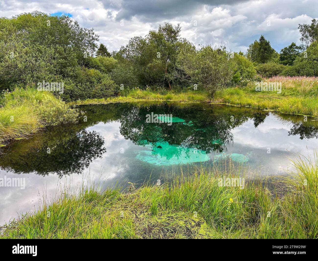 Store Blakilde, eine Kaltwasserquelle in der Nähe von Skorping in Dänemark. Stockfoto