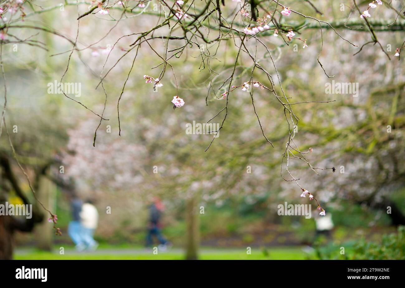 London. Stockfoto
