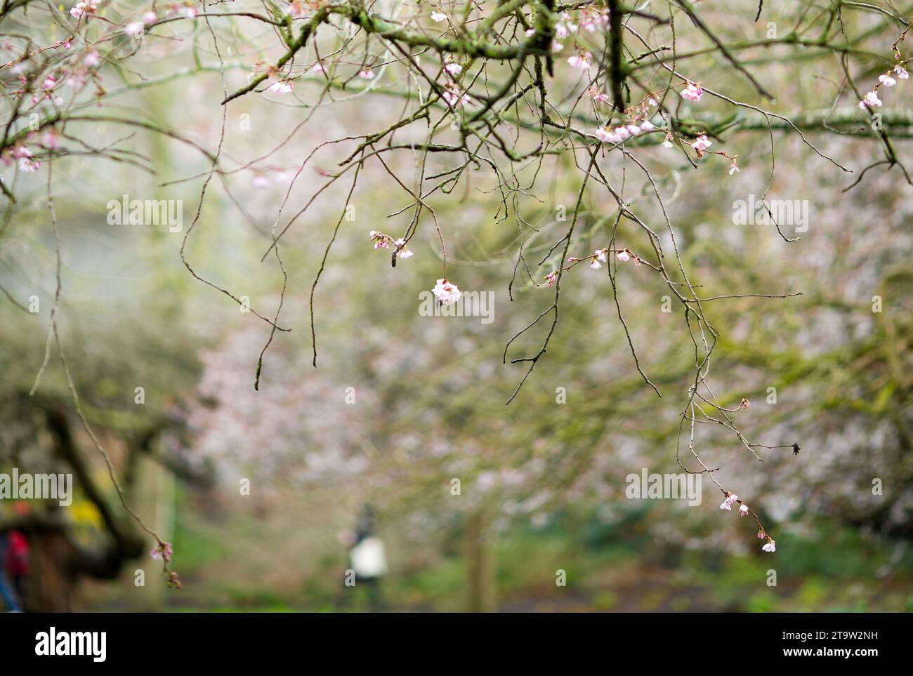 London. Stockfoto