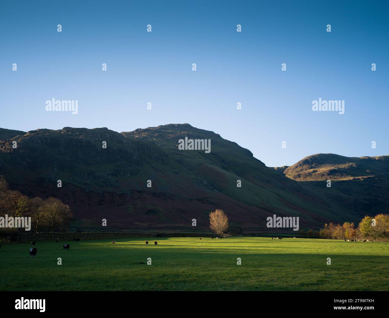 Pike of Blisco von Great Langdale im frühen Morgenlicht gesehen Stockfoto