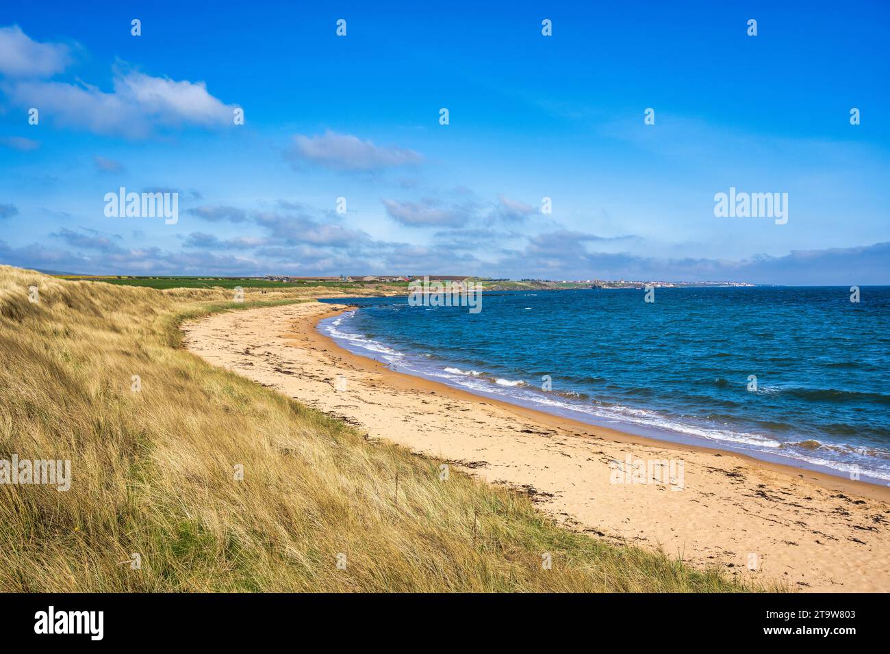 Goldener Sandstrand entlang der Küste von Fife auf dem Fife Coastal Path zwischen den Küstenstädten St Monans und Elie in East Neuk of Fife, Schottland, Großbritannien Stockfoto