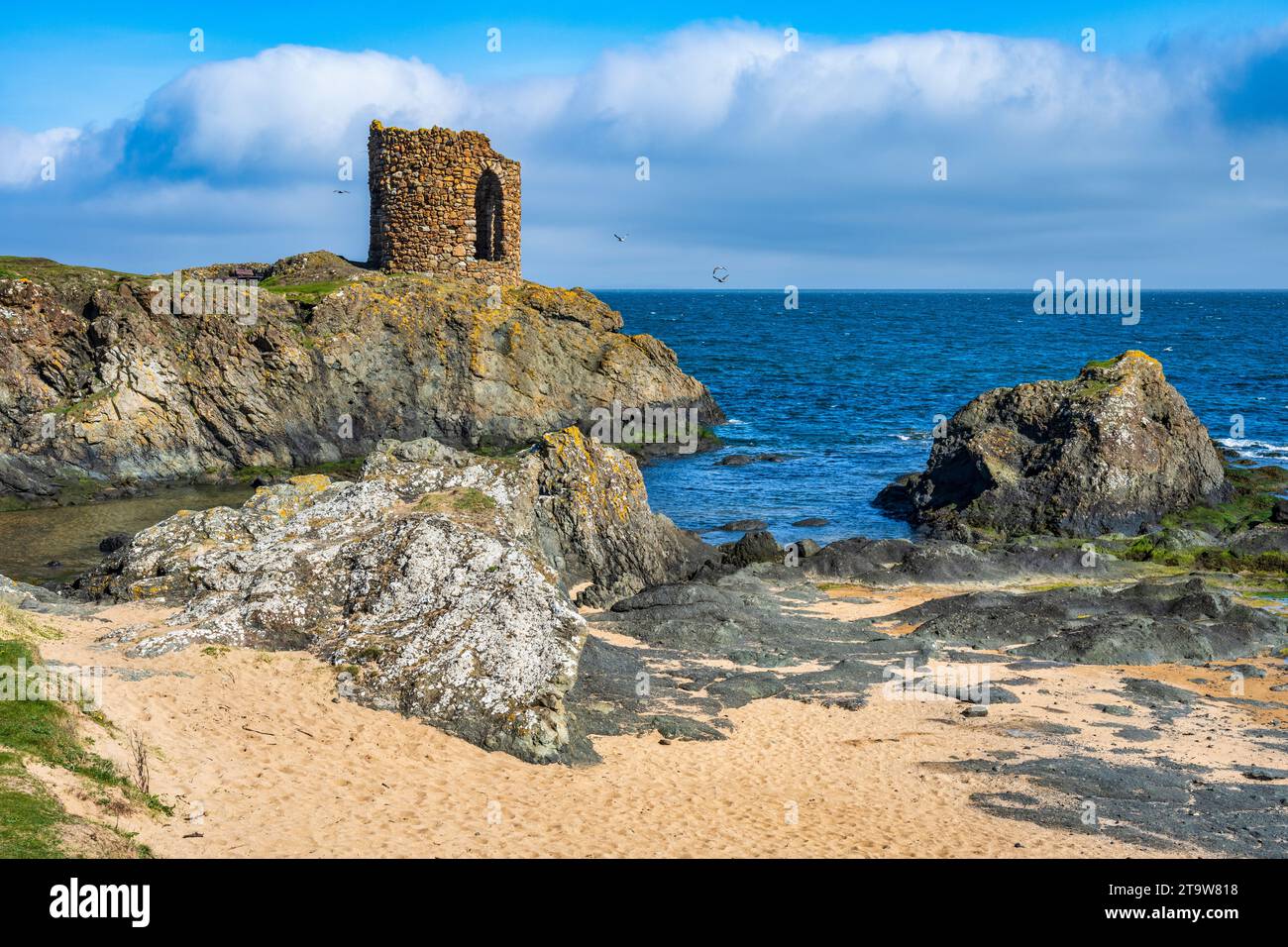 Lady’s Tower auf dem Fife Coastal Path in der Nähe der Küstenstadt Elie im East Neuk of Fife, Schottland, Großbritannien Stockfoto