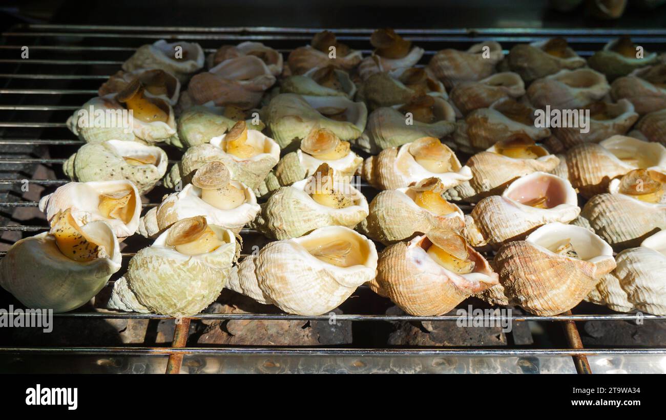 grillschnecken : Schnecken auf Grillpfanne auf dem lokalen Markt in Jiufen, Taiwan. Gebratene Schnecken in Jiufen Old Street Taiwan Stockfoto