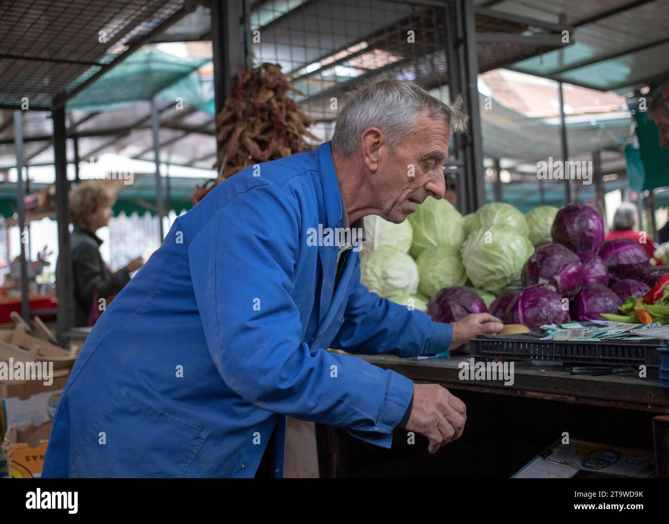 Belgrad, Serbien, 10. November 2023: Ein Verkäufer in einem Job hinter einem Stand auf dem grünen Markt Stockfoto