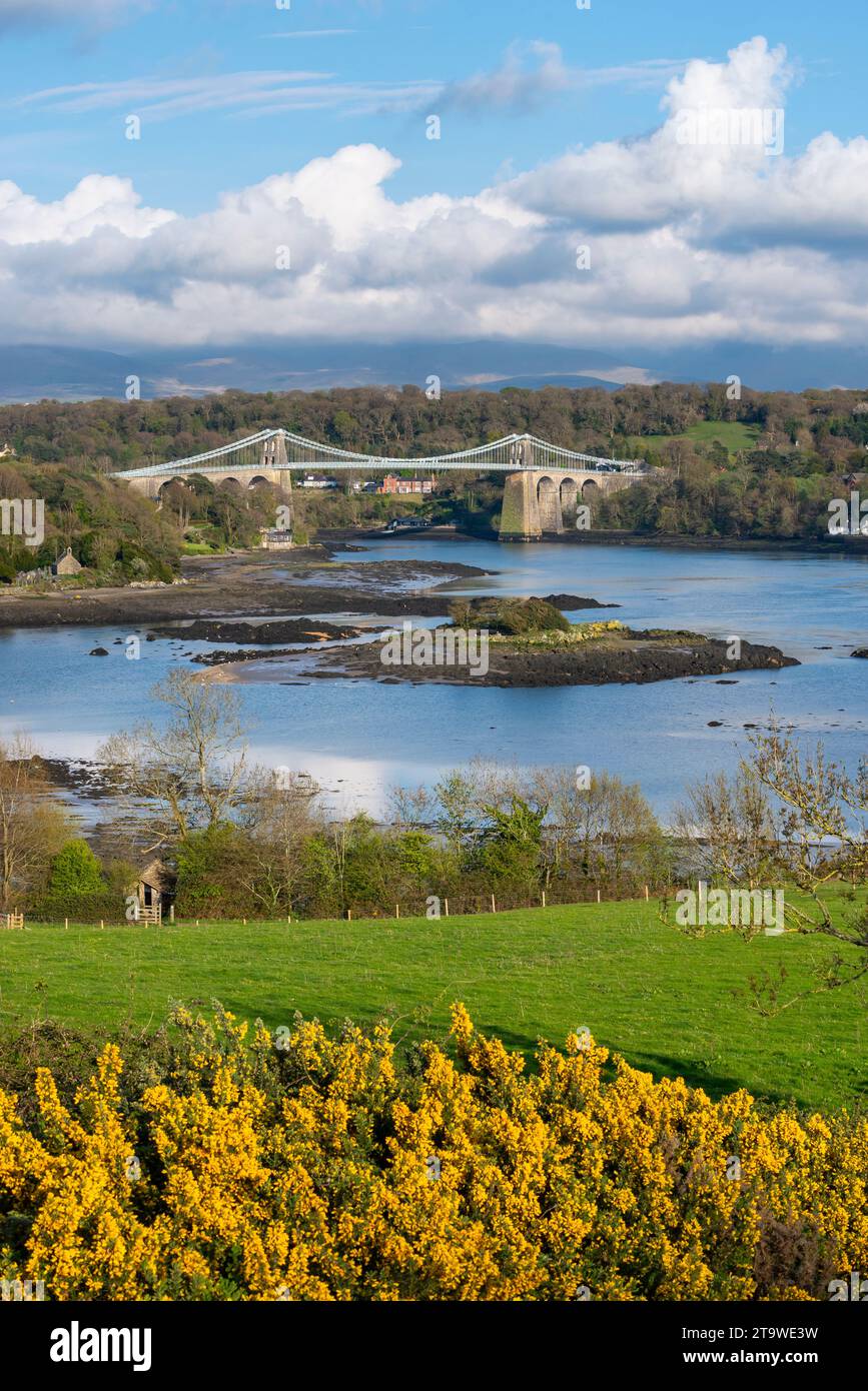 Menai Suspension Bridge und Menai Strait, Anglesey, Nordwales. Stockfoto