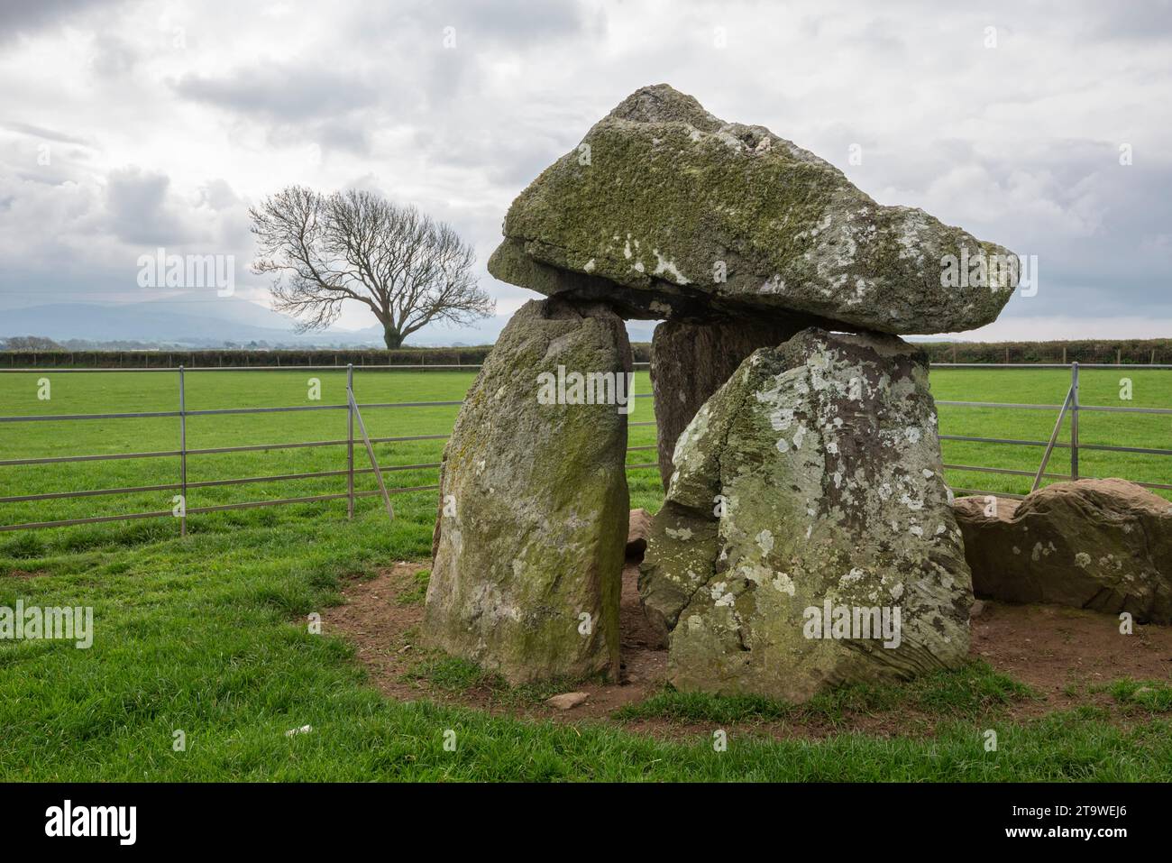 Bodowyr Grabkammer, Anglesey, Nordwales. Eine neolithische Grabkammer im Süden der Insel Anglesey in Wales. Das ist es Stockfoto