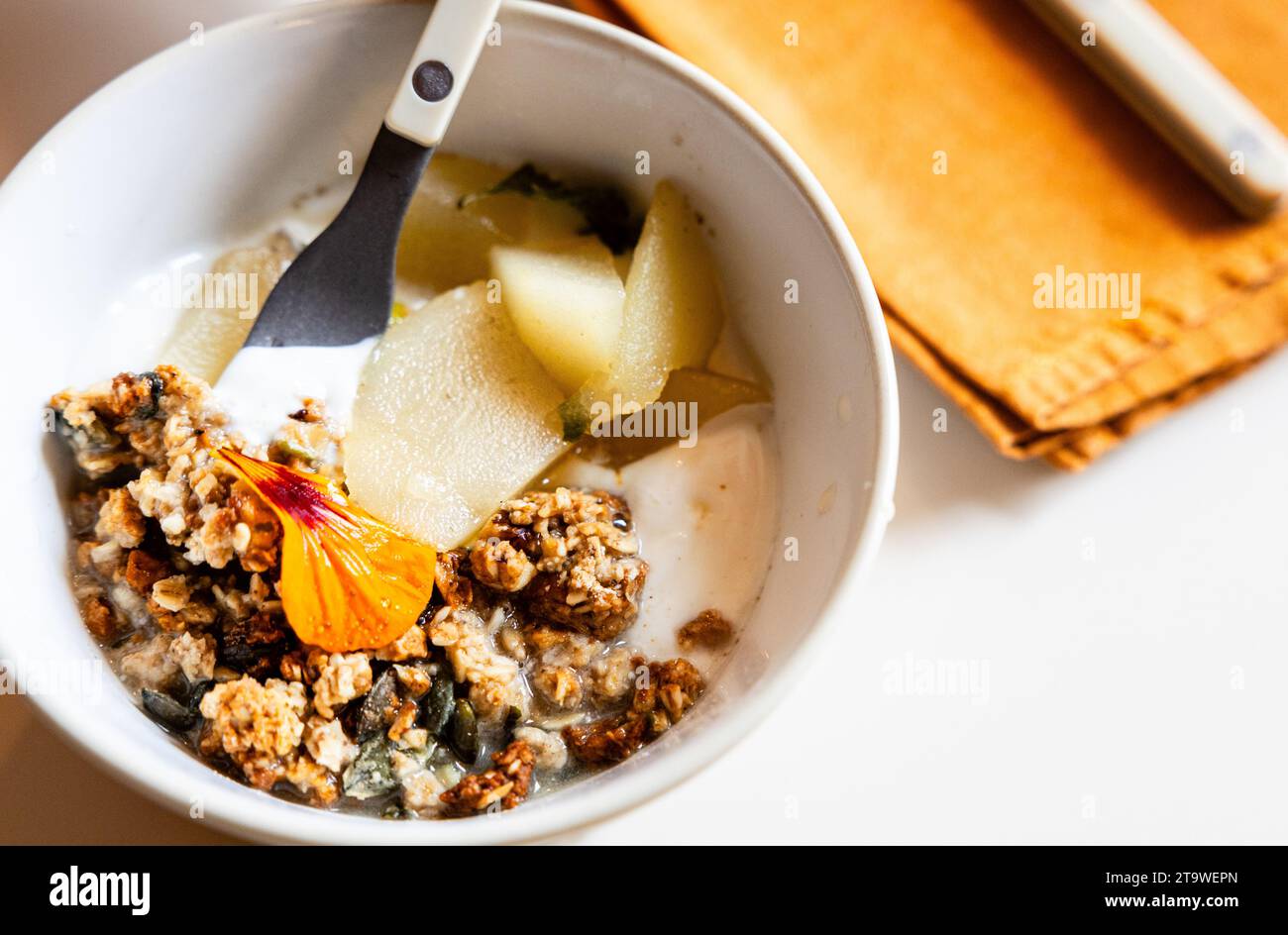 Nahaufnahme einer Schüssel mit gesundem Essen mit Joghurt, Obst und Müsli Stockfoto