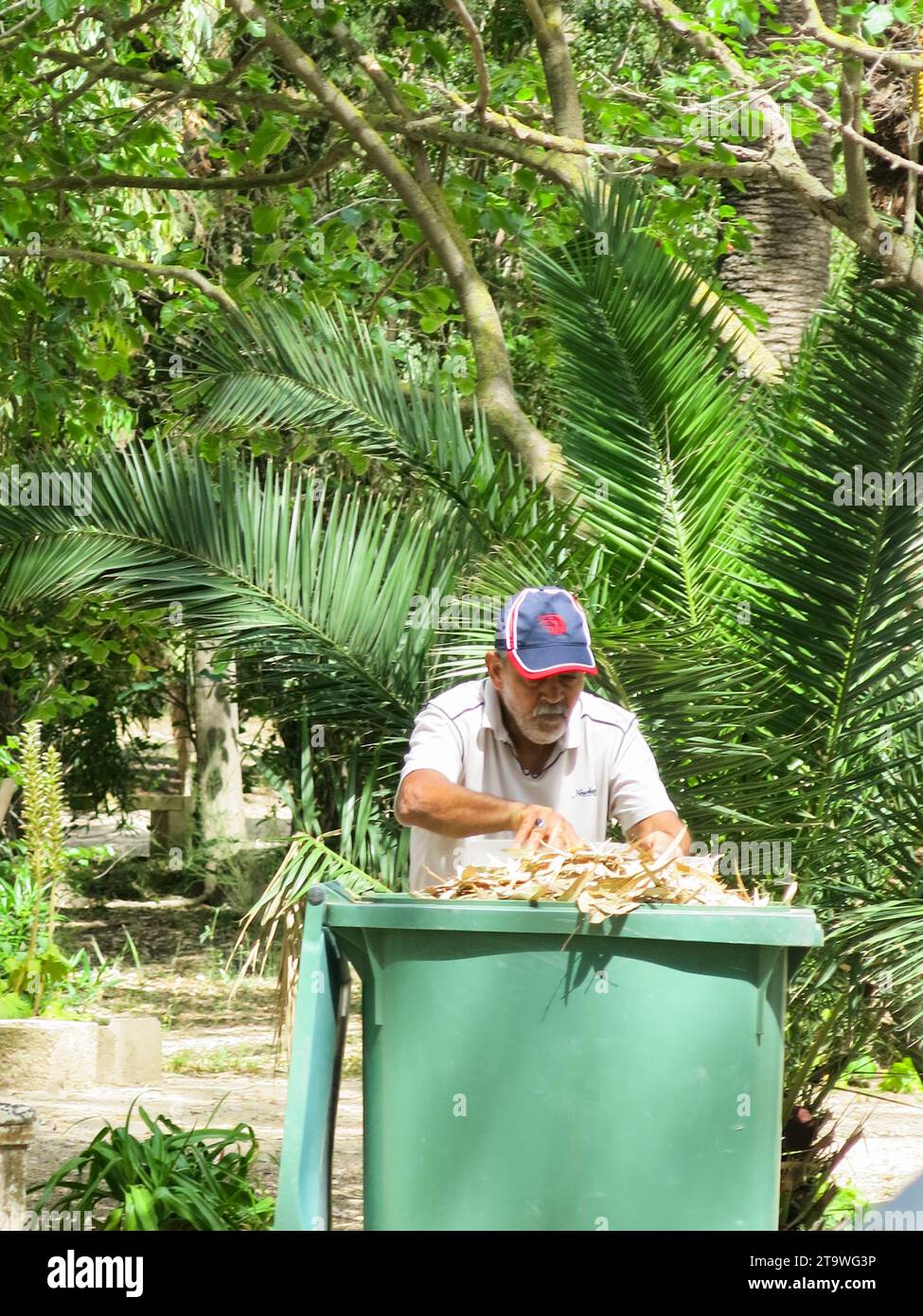 Gardner kümmert sich um die Parkwartung Stockfoto