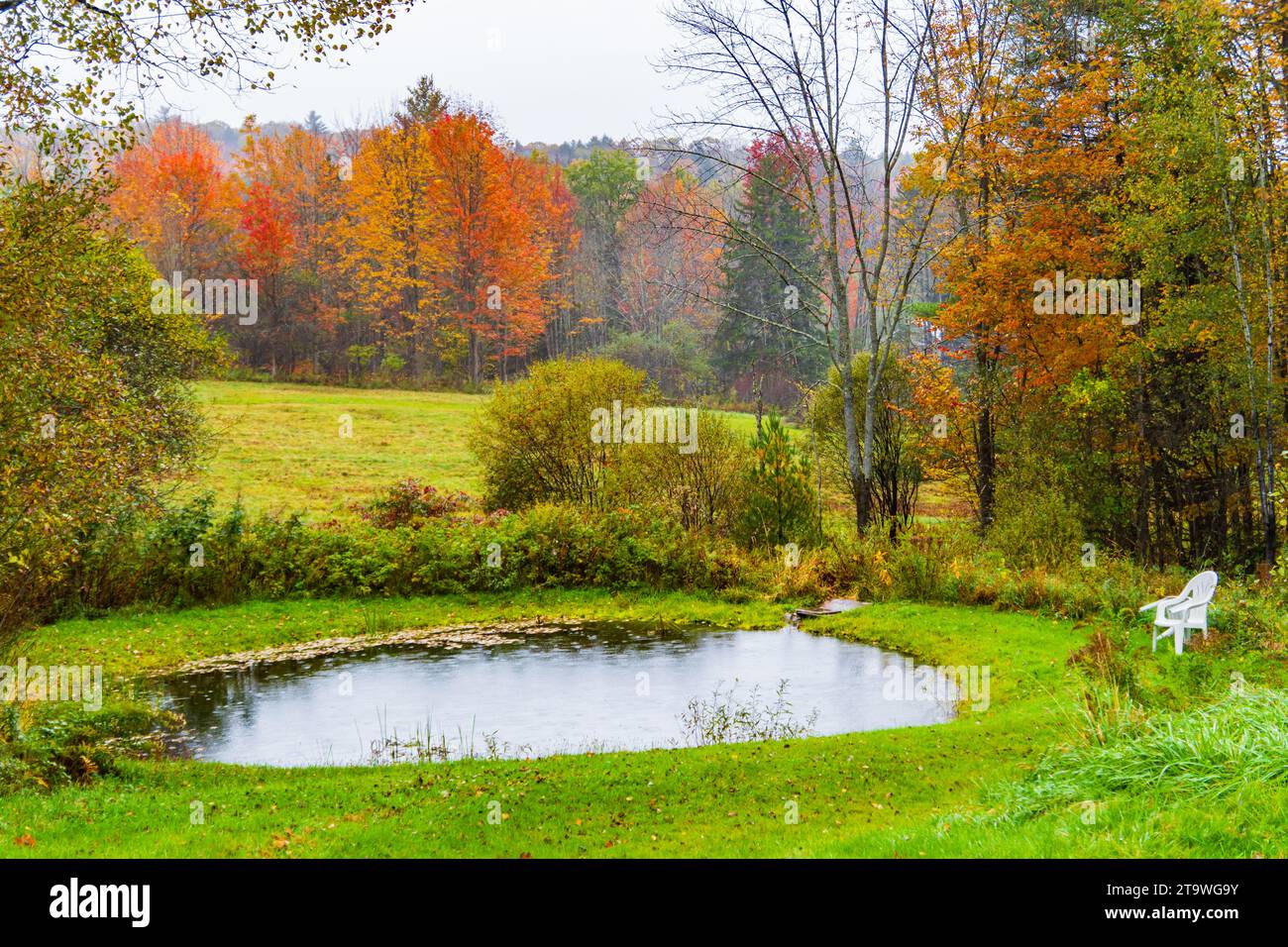 Kleiner Teich in der Herbstlandschaft von Vermont Stockfoto