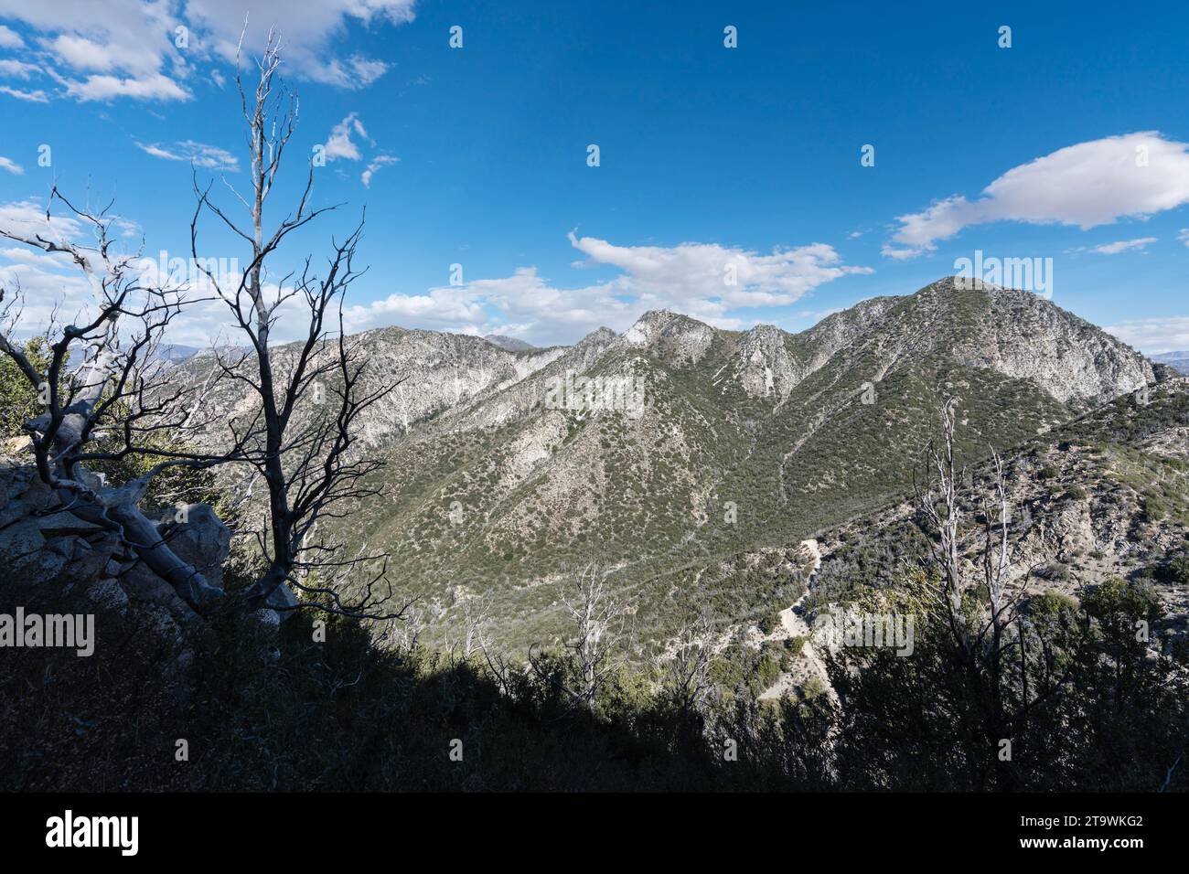 Blick auf den San Gabriel Peak und den Mt Enttäuschung vom Mt Lowe Trail im Angeles National Forest in der Nähe des Mt Wilson in Südkalifornien. Stockfoto