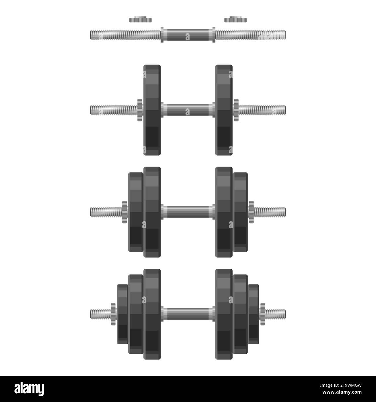 Kurzhantel mit herausnehmbaren Scheiben, verschiedene Gewichte, isoliert auf weißem Hintergrund. Geräte für Krafttraining, Bodybuilding, Fitnessstudio, Crossfit, Workout Stock Vektor