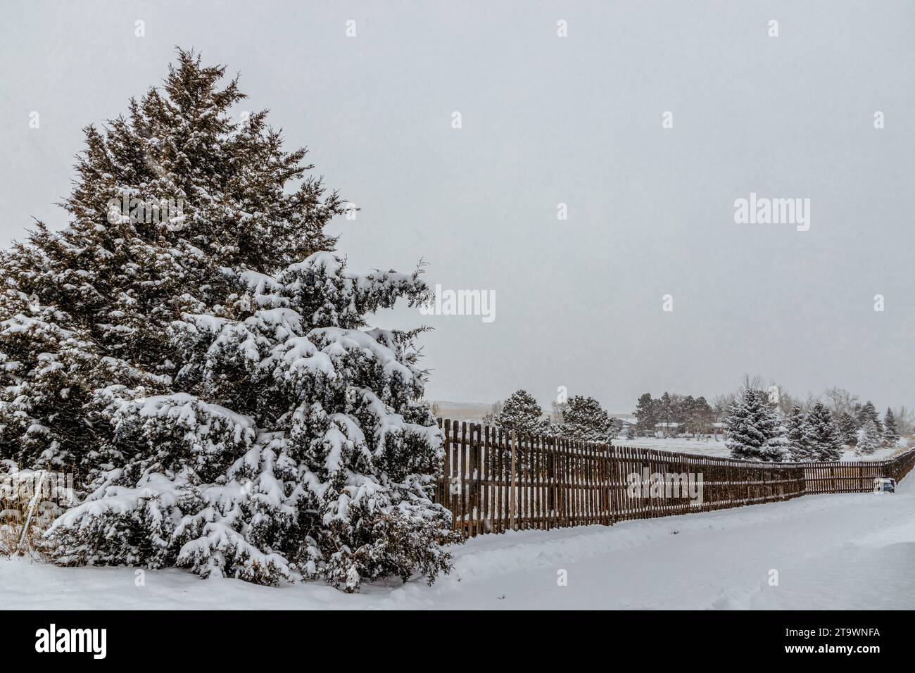 Colorado Living. Fort Collins, Colorado - Denver Metro Und Winterpanorama. Schnee fällt in der Nachbarschaft Stockfoto