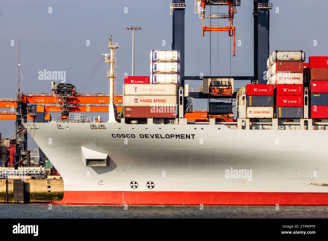 Containerschiff aus Cosco wird mit Portalkranen im ECT Shipping Terminal im Hafen von Rotterdam beladen. Niederlande - 16. März 2016 Stockfoto