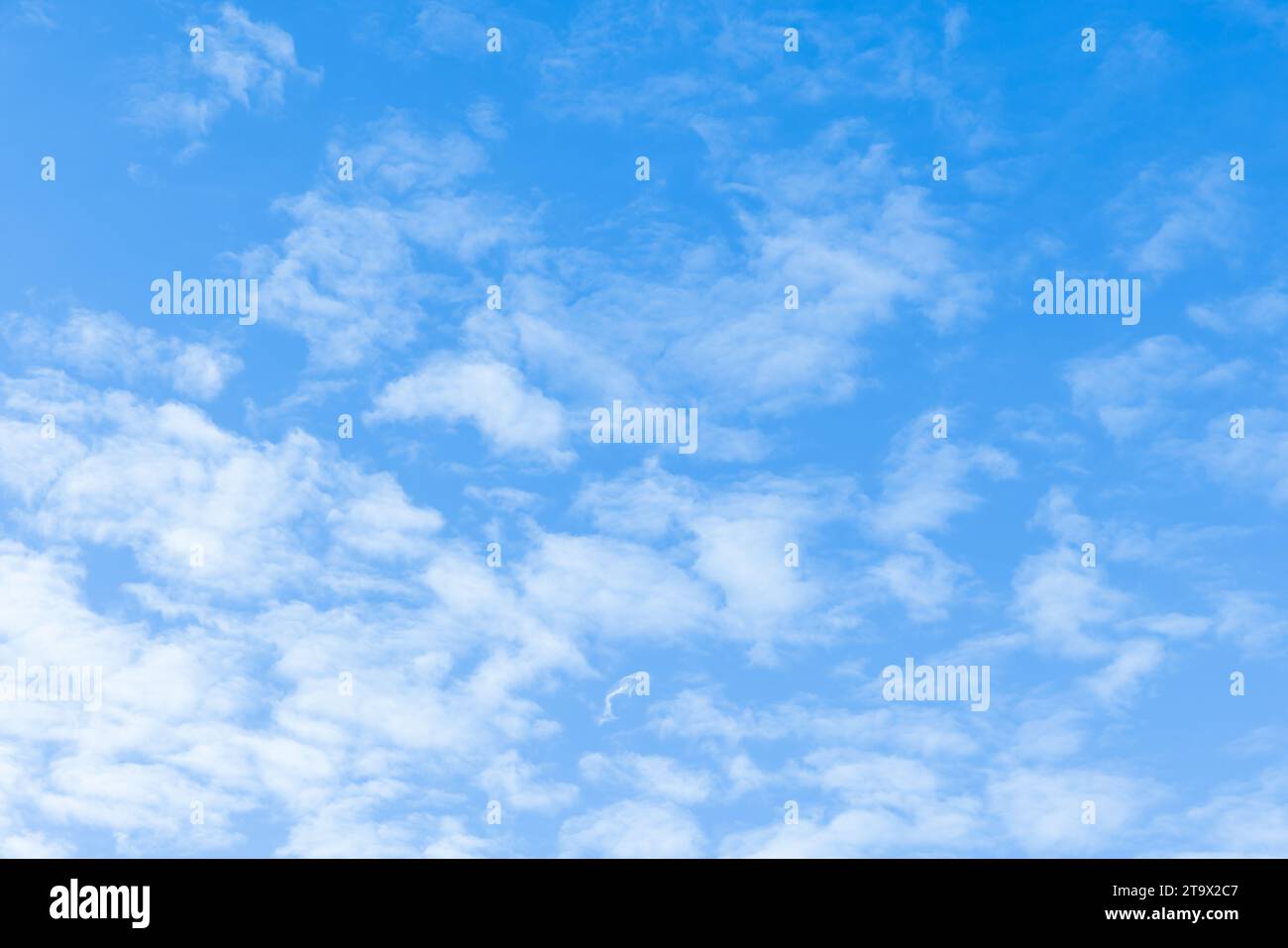 Blauer Himmel mit weißem Altocumulus-Wolkenmuster an einem sonnigen Tag, natürliche Hintergrundfotostruktur Stockfoto
