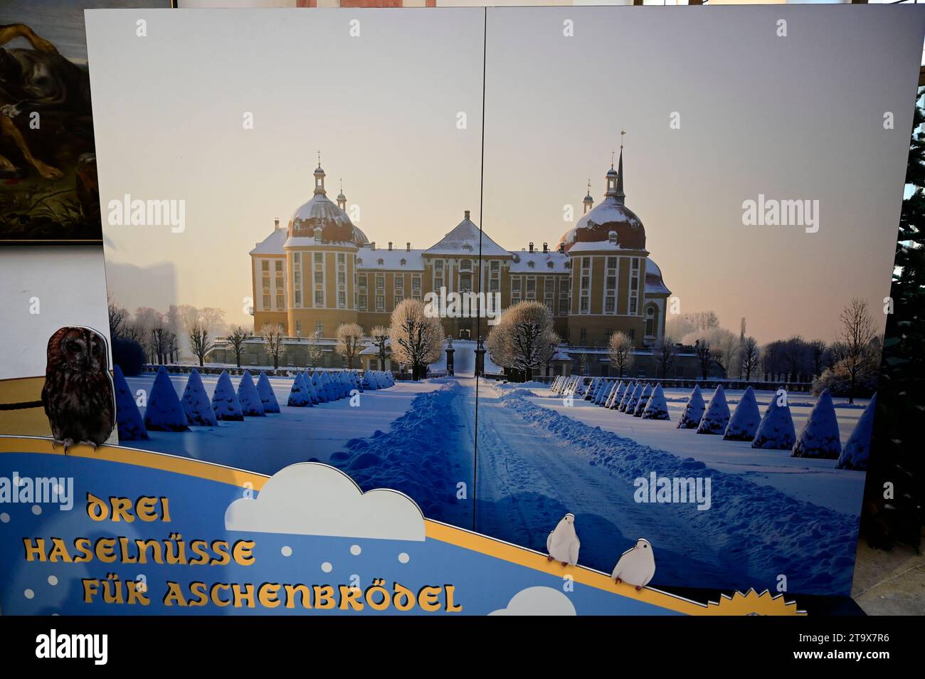 Ausstellung anlässlich des 50. Filmjubiläums des Kultstreifens 'drei Haselnüsse für Aschenbrödel' auf Schloss Moritzburg. Moritzburg, 25.11.2023 Stockfoto