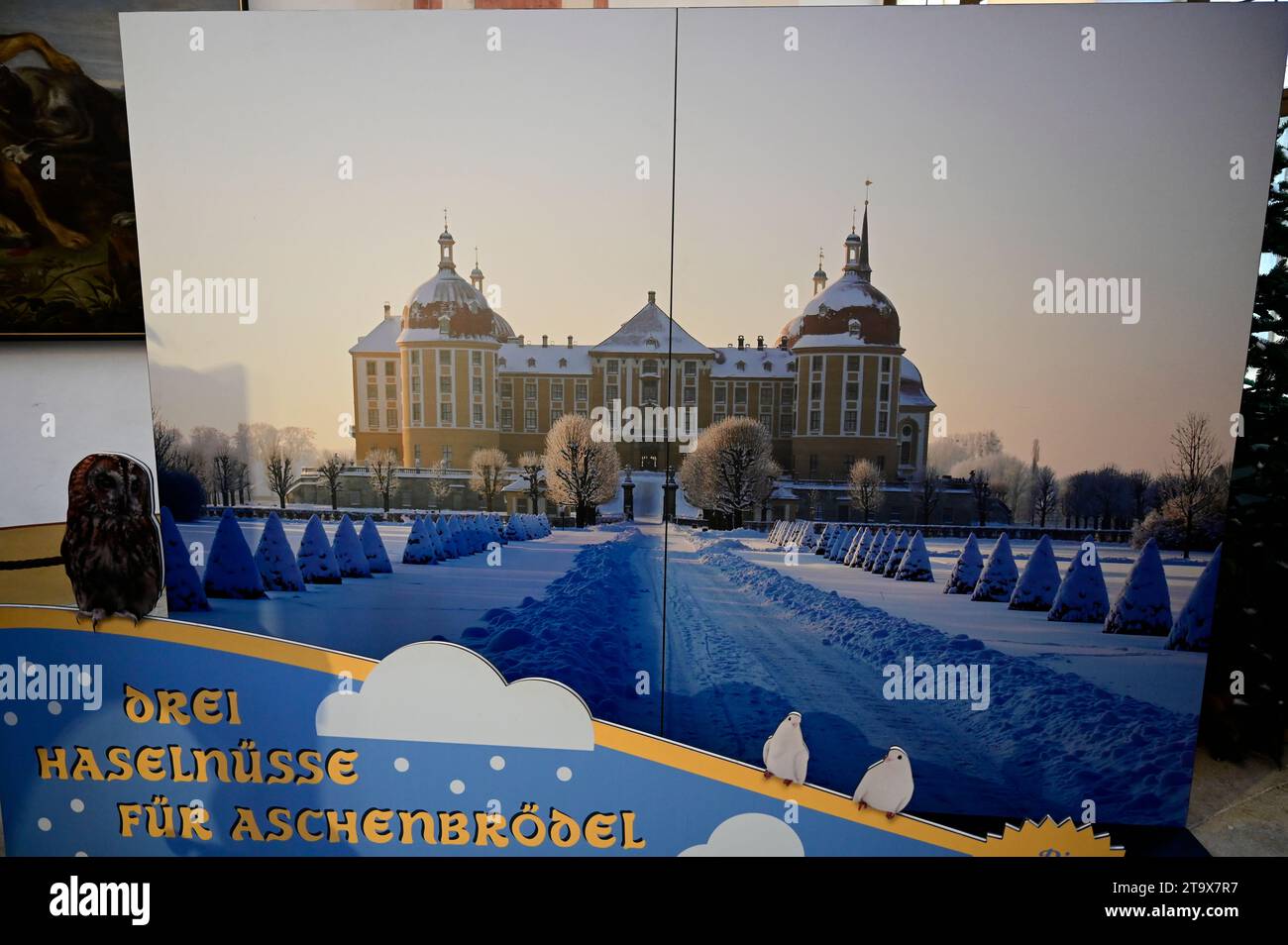 Ausstellung anlässlich des 50. Filmjubiläums des Kultstreifens 'drei Haselnüsse für Aschenbrödel' auf Schloss Moritzburg. Moritzburg, 25.11.2023 Stockfoto