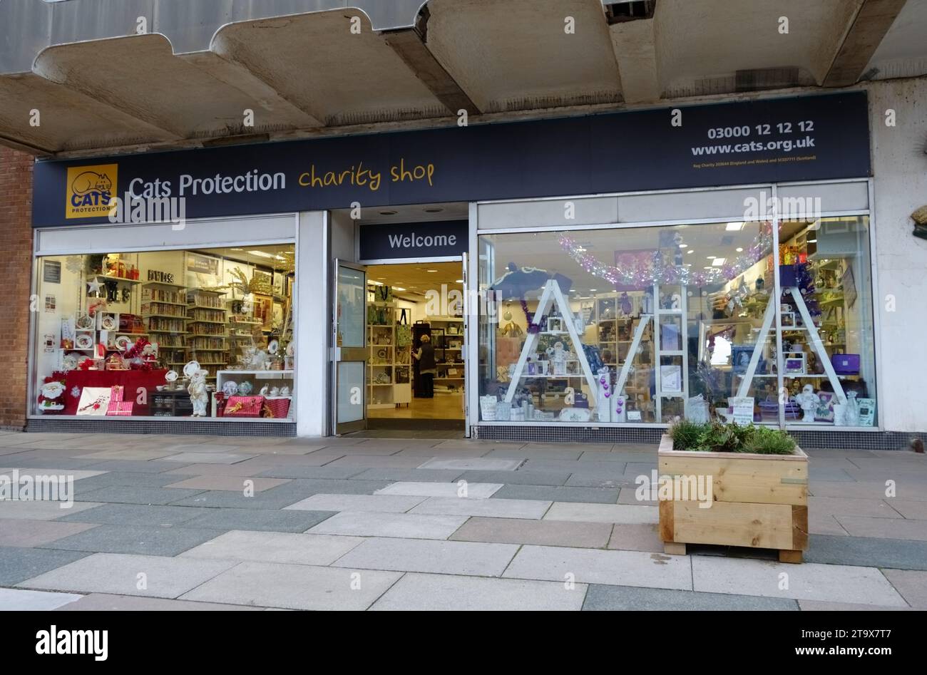 Katzenschutz-Wohltätigkeitsladen vor der Haustür, Urugueys Lancashire Stockfoto