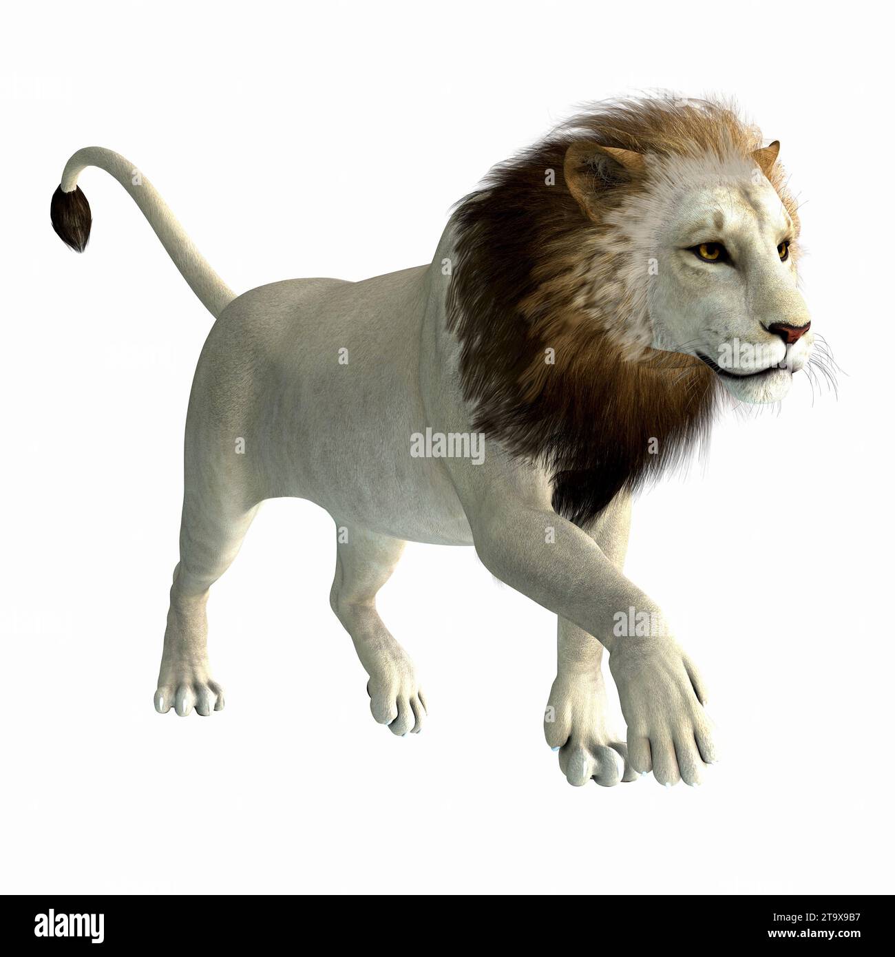 Der amerikanische Löwe lebte während der pleistozänen Zeit Nordamerikas als Megafauna-Raubtier. Stockfoto
