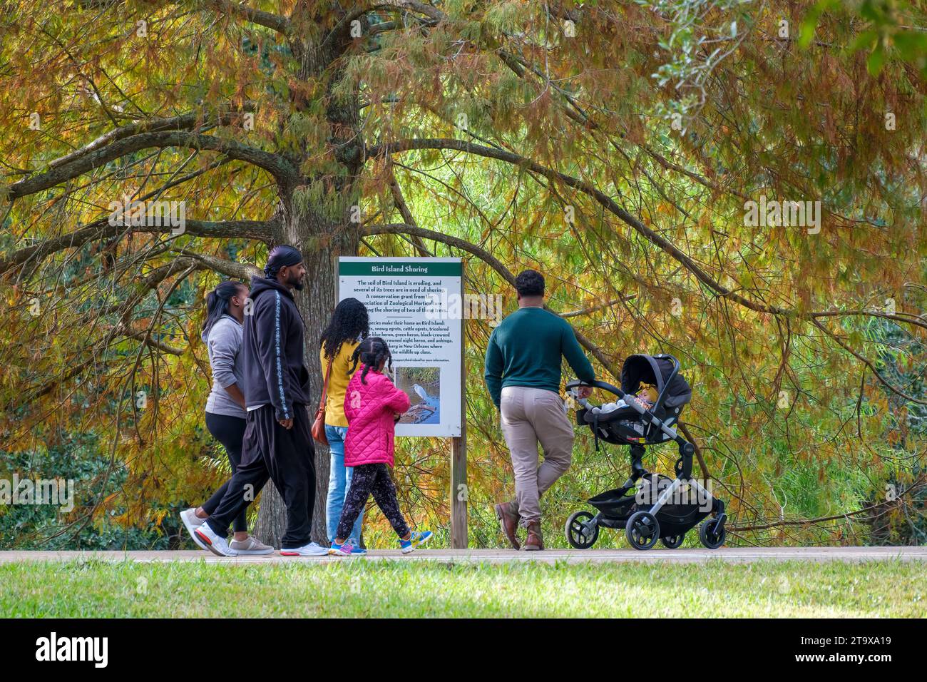 NEW ORLEANS, LA, USA - 25. NOVEMBER 2023: Familie und Paar halten an, um das Schild über Bird Island im Audubon Park zu lesen Stockfoto