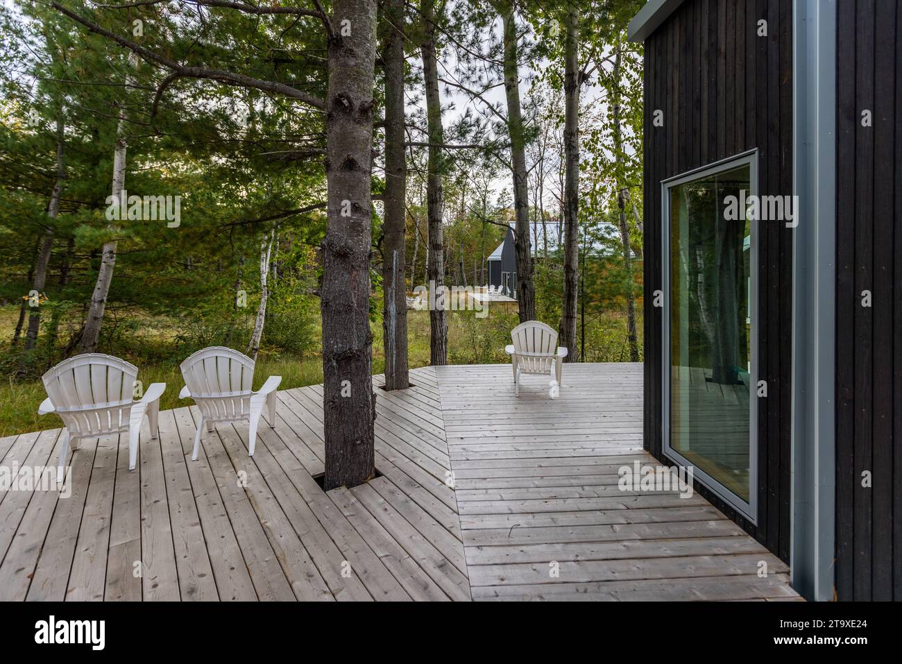 KOTI Ferienwohnungen, Ferienhäuser in der Nähe von Traverse City in Williamsburg, Michigan. Wohnbungalows auf dem Land. Acme Township, Usa Stockfoto