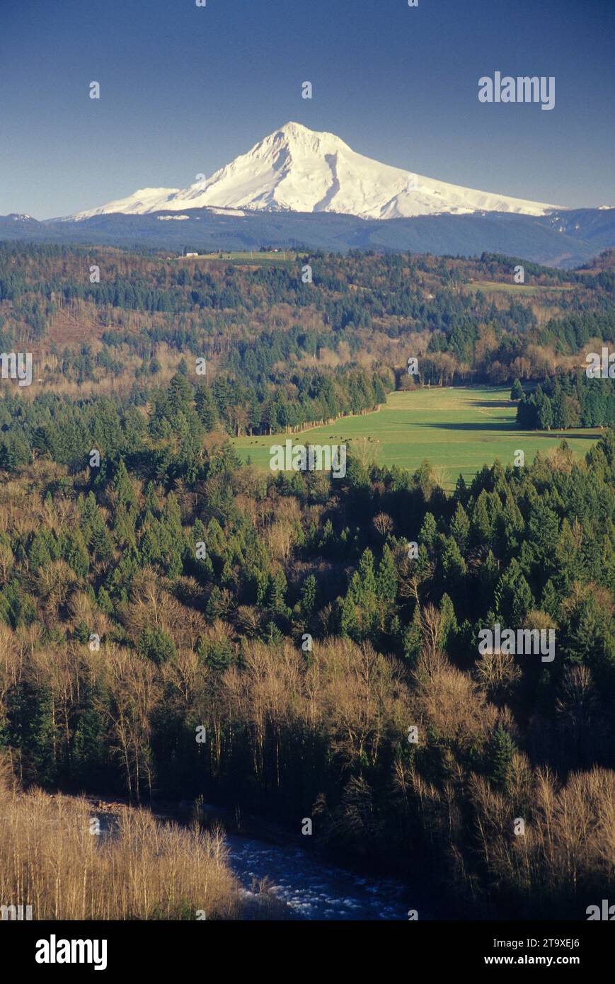 Mt Hood, Jonsrud Viewpoint, Sandy, Utah Stockfoto