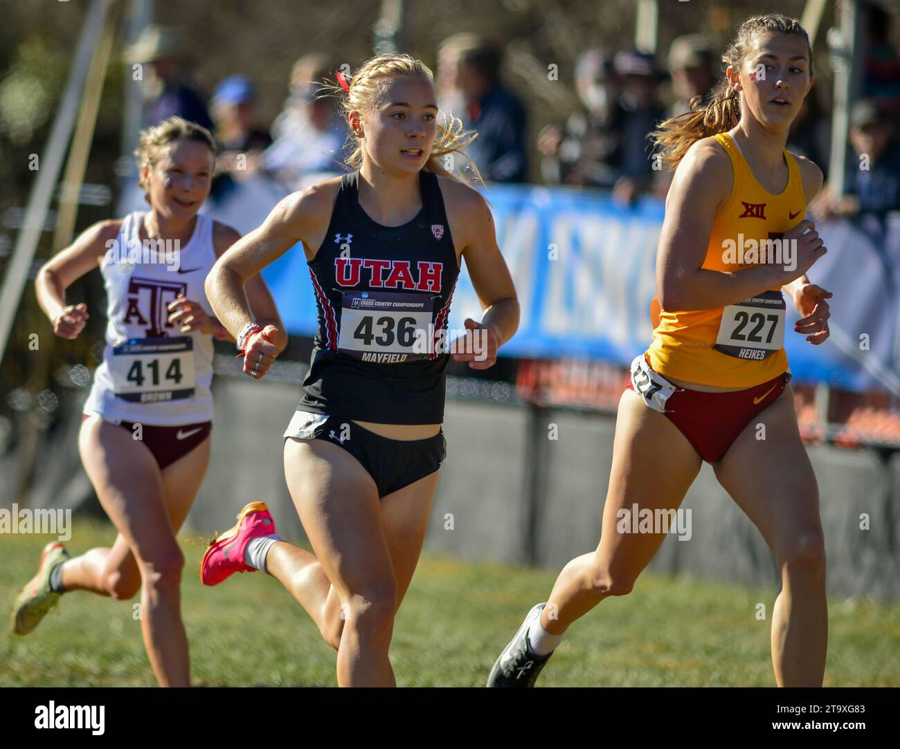 Charlottesville, VA – 18. November: Clara Mayfield (436) von der University of Utah übertrifft Bella Heikes (227) von Iowa State und Madison Brown (414) von T Stockfoto