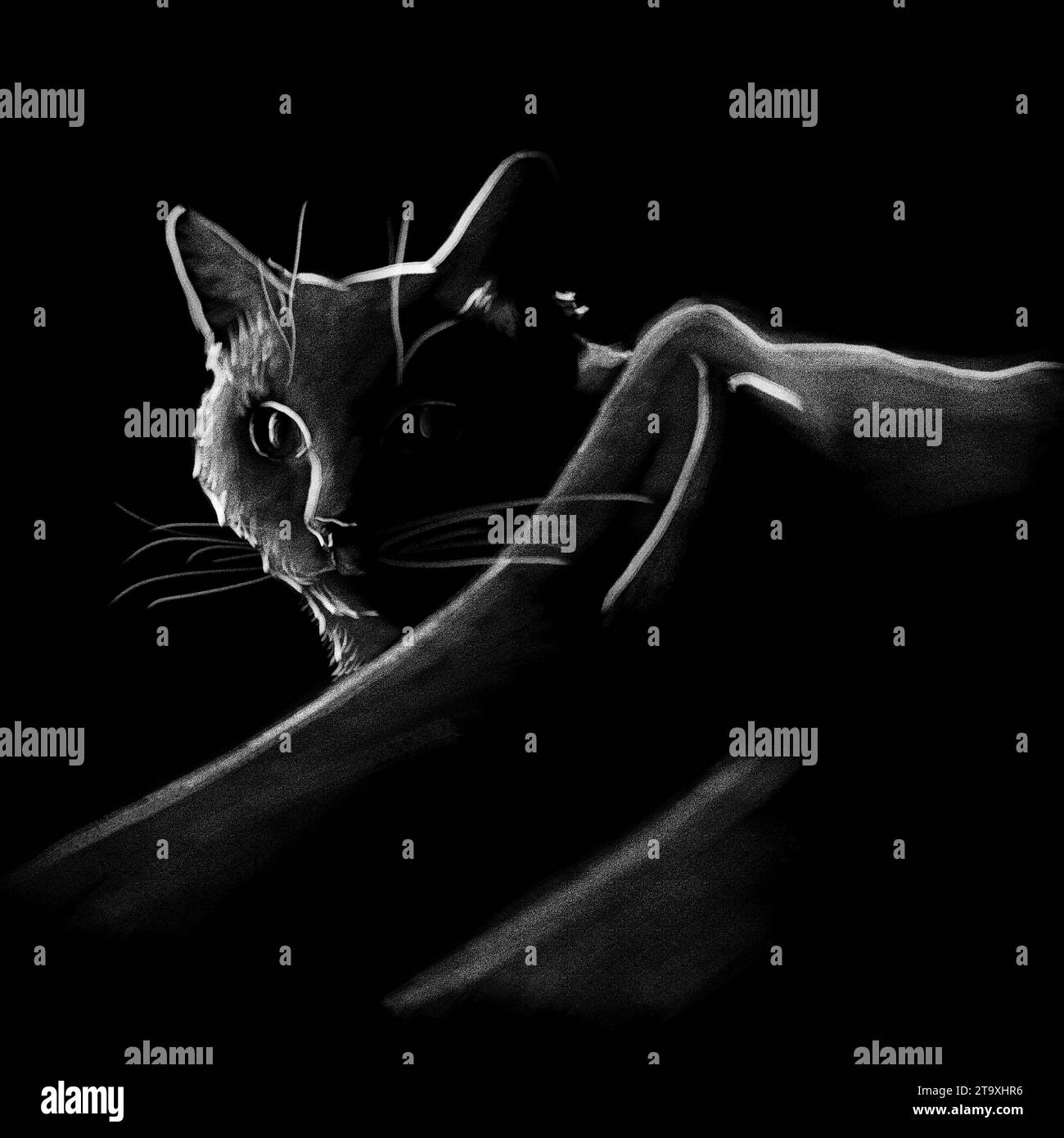 Realistische digitale Illustration in Pastellweiß auf schwarzer Katze Stockfoto